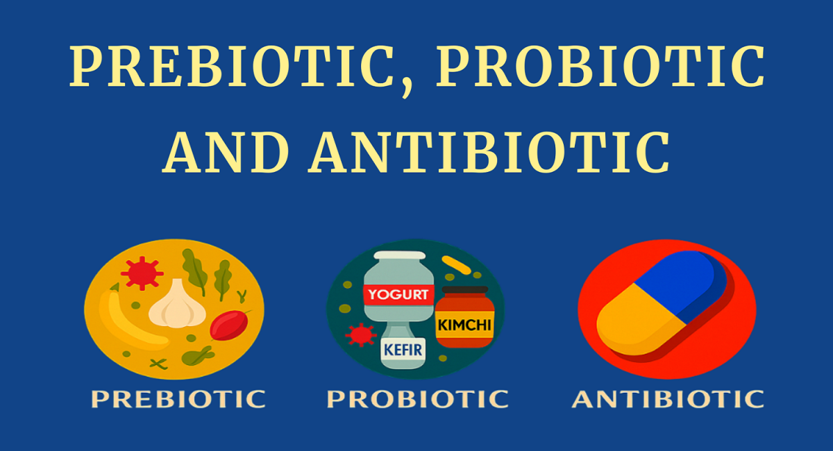 PREBIOTIC, PROBIOTIC AND ANTIBIOTIC